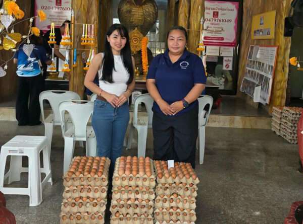 More eggs from our friends at Hao Dong Shrine